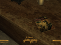 FalloutNV 2012-05-17 01-02-22-99.png